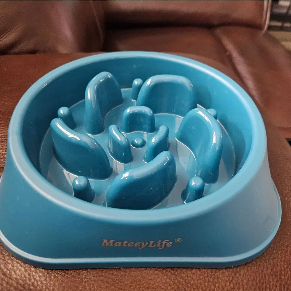 Matey Slow Feeder Dog Dish